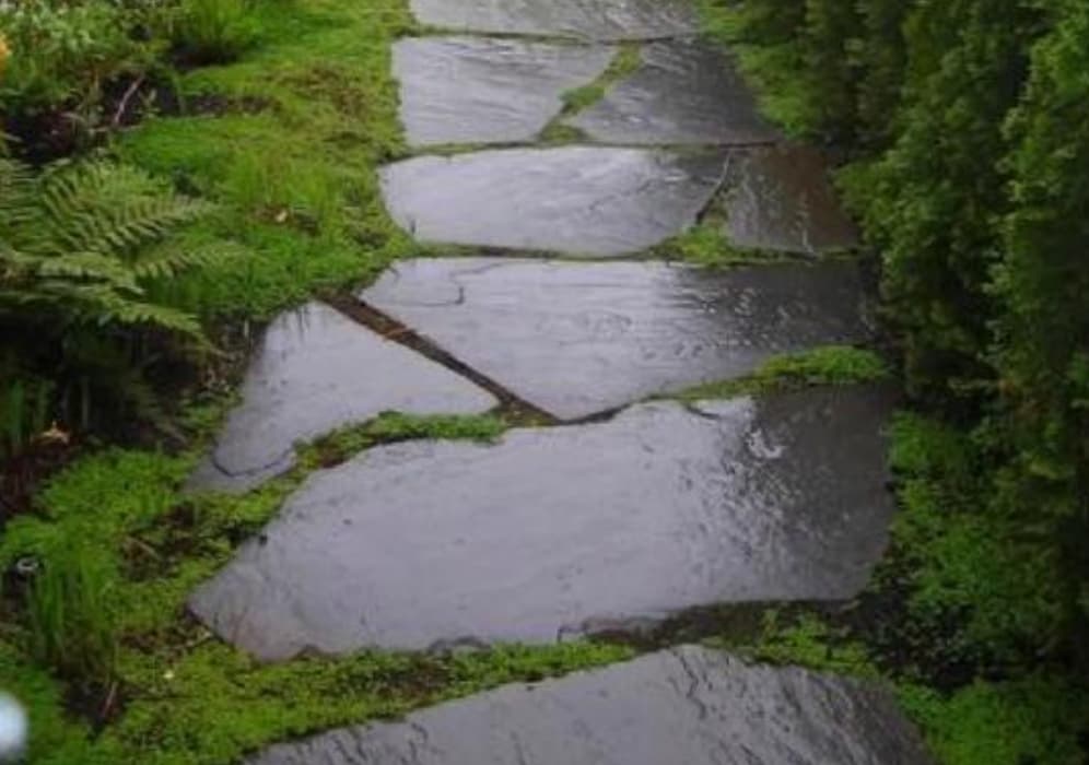 知道哪里有浦城县河道护坡砖 河道连锁护坡砖模具厂家批发